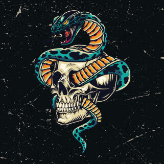 Portfolio Image 1